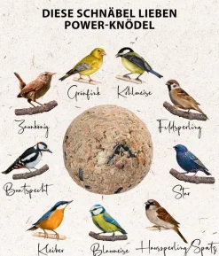 Dehner Natura Premium Wildvogelfutter Power-Meisenknödel im Eimer, mit Netz, 30 Stk.