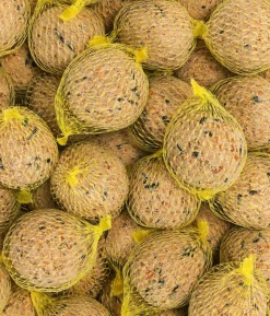 Dehner Natura Premium Wildvogelfutter Meisenknödel im Karton, mit Netz