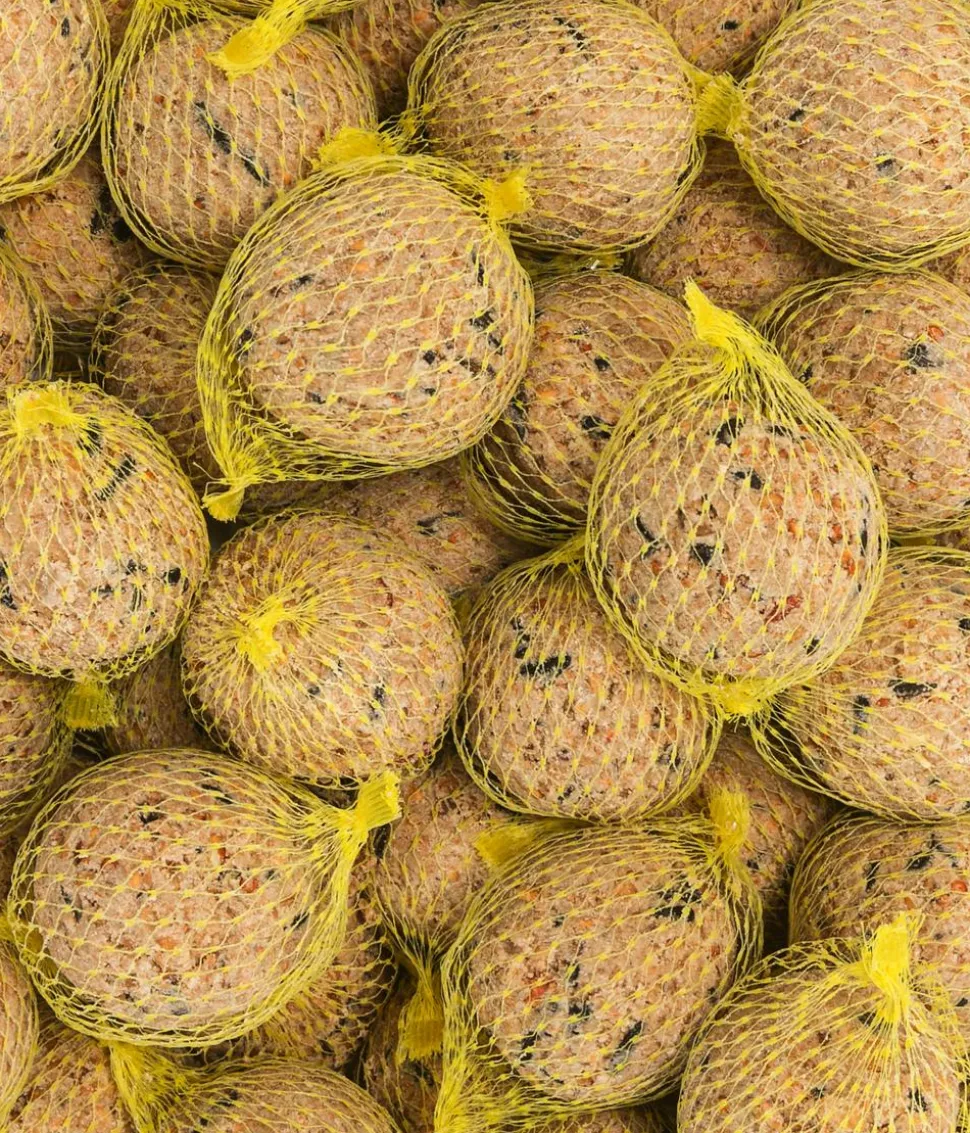 Dehner Natura Premium Wildvogelfutter Riesen-Meisenknödel, mit Netz