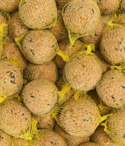 Dehner Natura Premium Wildvogelfutter Insekten-Meisenknödel, mit Netz