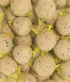 Dehner Natura Premium Wildvogelfutter Müsli-Meisenknödel im Eimer, mit Netz, 30 Stk.
