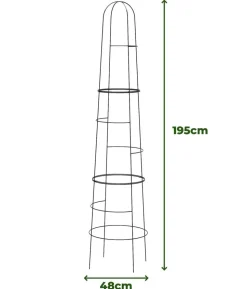 Dehner Obelisk Kuro