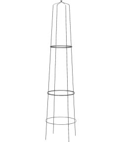 Dehner Obelisk Nova