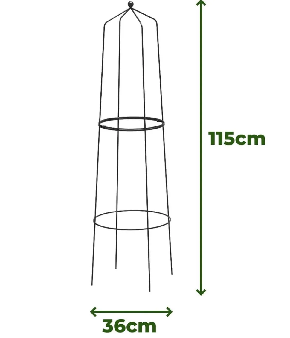 Dehner Obelisk Nova