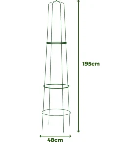 Dehner Obelisk Nova