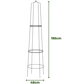 Dehner Obelisk-Sekt Nova, 2-teilig