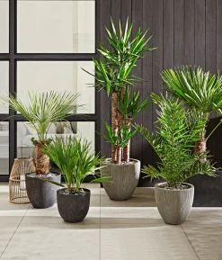 Dehner Polystone-Topf Brisbane in Riffeloptik, rund