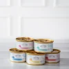 Dehner Premium Lovely Nassfutter für Katzen Senior Schöner Abend, 16 x 100 g