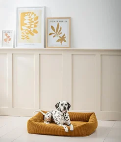Dehner Premium Orthopädisches Hundebett Enola, rechteckig, ca. B90/H23/T70 cm