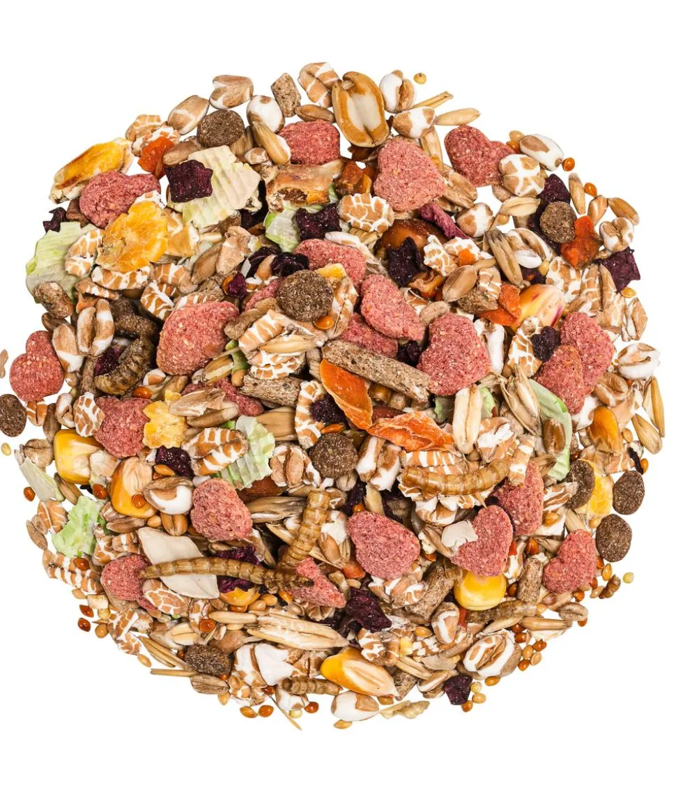 Dehner Premium Rennmausfutter, 750 g