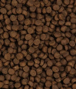 Dehner Premium Trockenfutter für Katzen Active/Outdoor Adult, Huhn