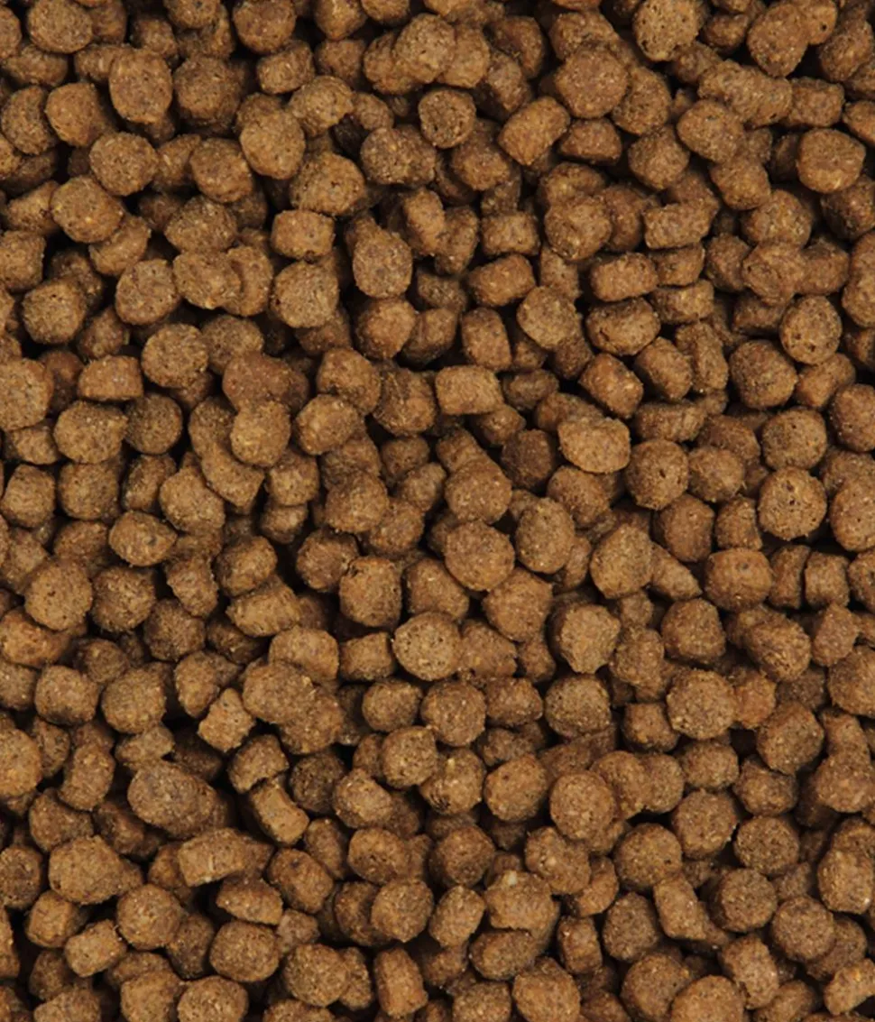 Dehner Premium Trockenfutter für Katzen Light Senior, Geflügel