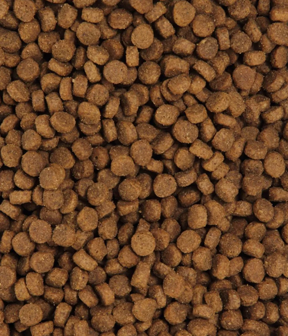 Dehner Premium Trockenfutter für Katzen Adult