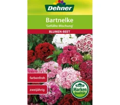 Dehner Samen Bartnelke 'Gefüllte Prachtmischung'