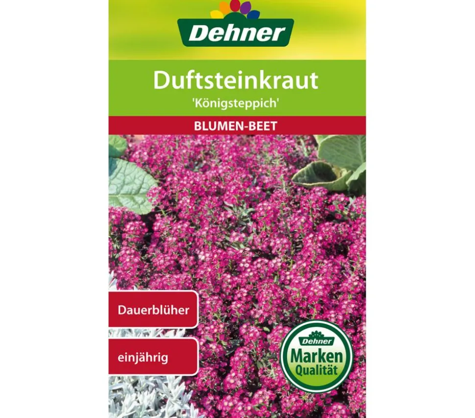 Dehner Samen Duftsteinkraut 'Königsteppich'