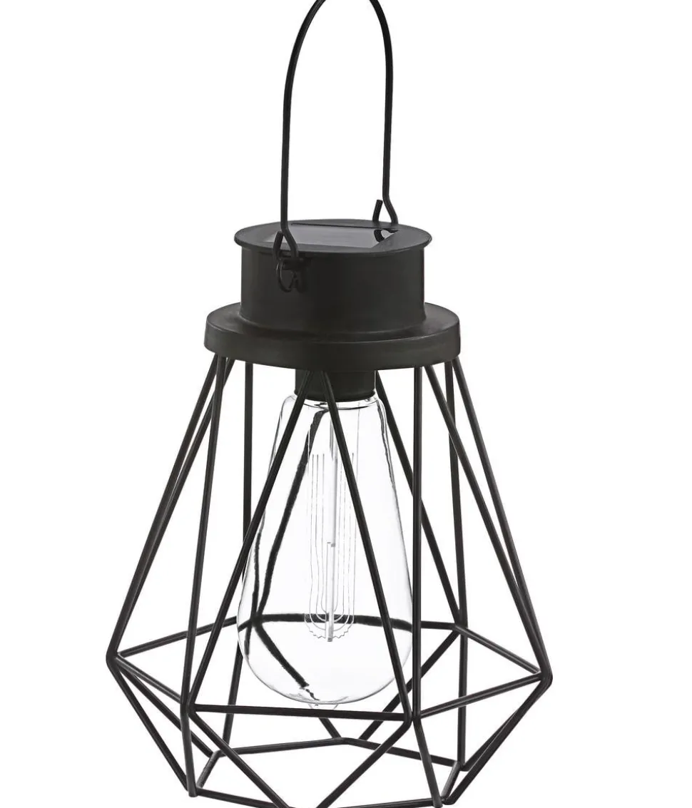 Dehner Solar-Drahtglühbirne Blackora, ca. Ø16/H20 cm