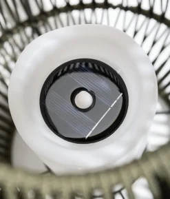 Dehner Solar-Laterne Ella