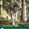 Dehner Wild Nature BARF-Ergänzungsfutter für Hunde Flocken-Mix Kartoffel-Rote Beete