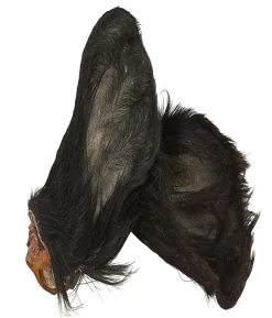 Dehner Wild Nature Hundesnack Kalbsohren mit Fell