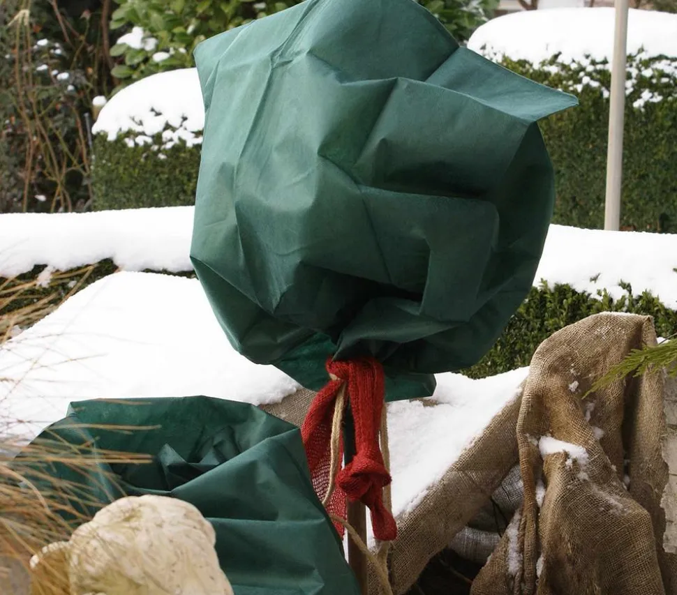 Dehner Winterschutz Rosen-Vlieshaube, 3 Stück, ca. B75/H100 cm