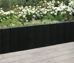 Diephaus Palisade Medio