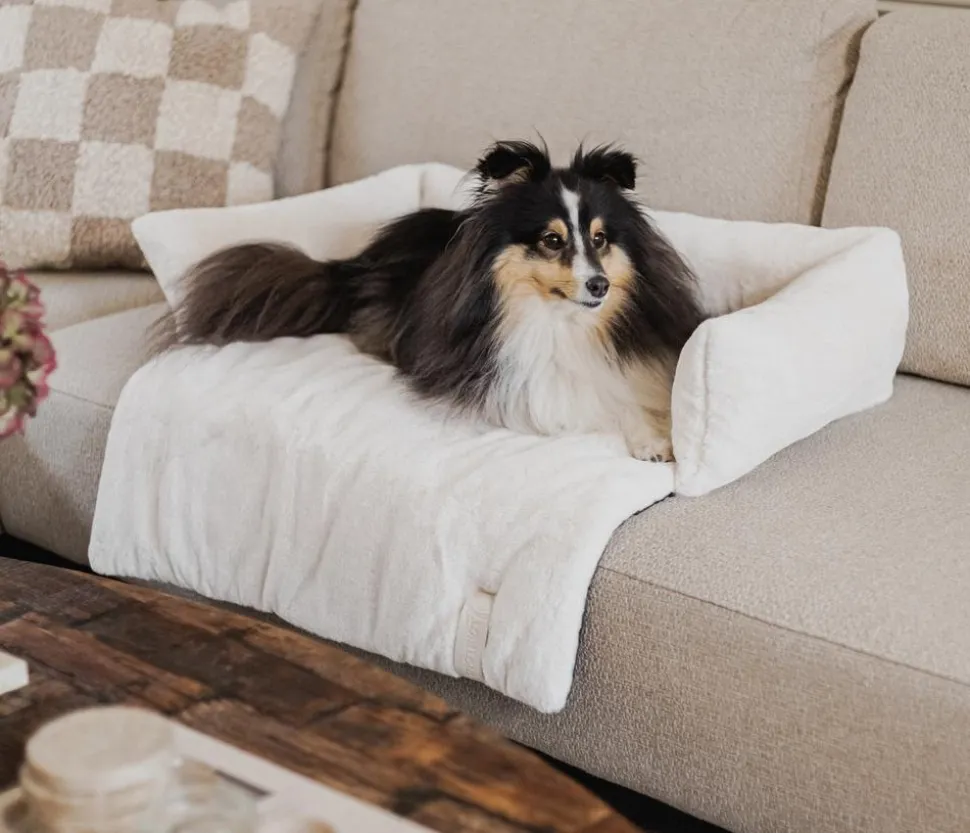 District 70 Hundesofa Nuzzle