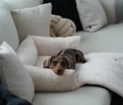 District 70 Hundesofa Nuzzle