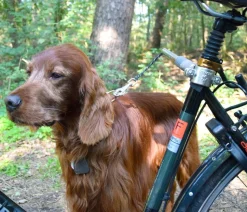 dobar® petlife Fahrradleine Walky Dog Plus