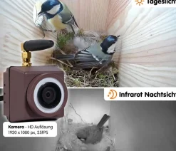 dobar® wildlife Nistkasten Karsten, inkl. Kamera, ca. B22,5/H53/T25,5 cm