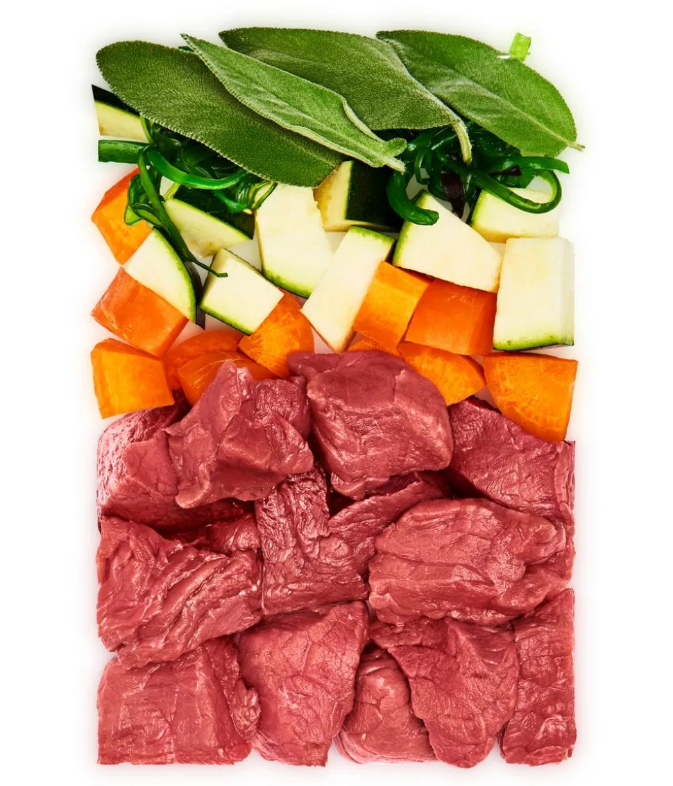 DOG'S LOVE Nassfutter für Hunde Junior, 6 x 400 g