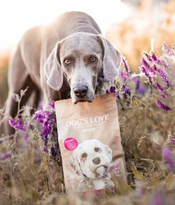 DOG'S LOVE Trockenfutter für Hunde Adult