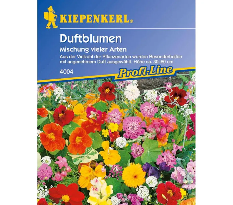 Duftblumen Mix, Saatgut von Kiepenkerl
