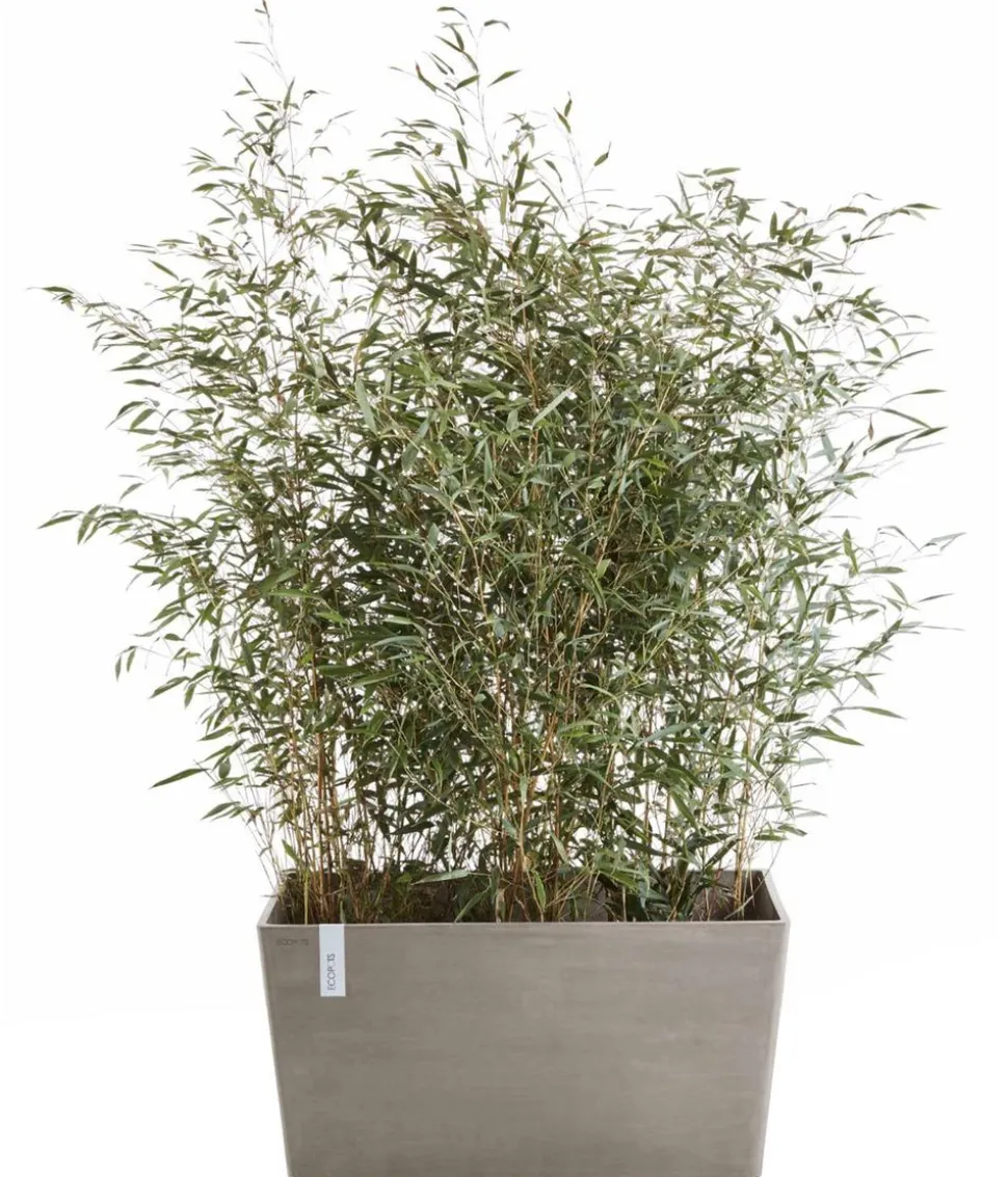 Ecopots Kunststoff-Kasten Paris, rechteckig