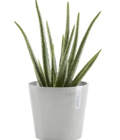 Ecopots Kunststoff-Topf Amsterdam Mini, rund, ca. Ø17/H14,7 cm