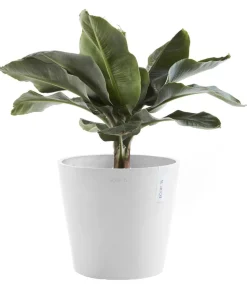 Ecopots Kunststoff-Topf Amsterdam, rund