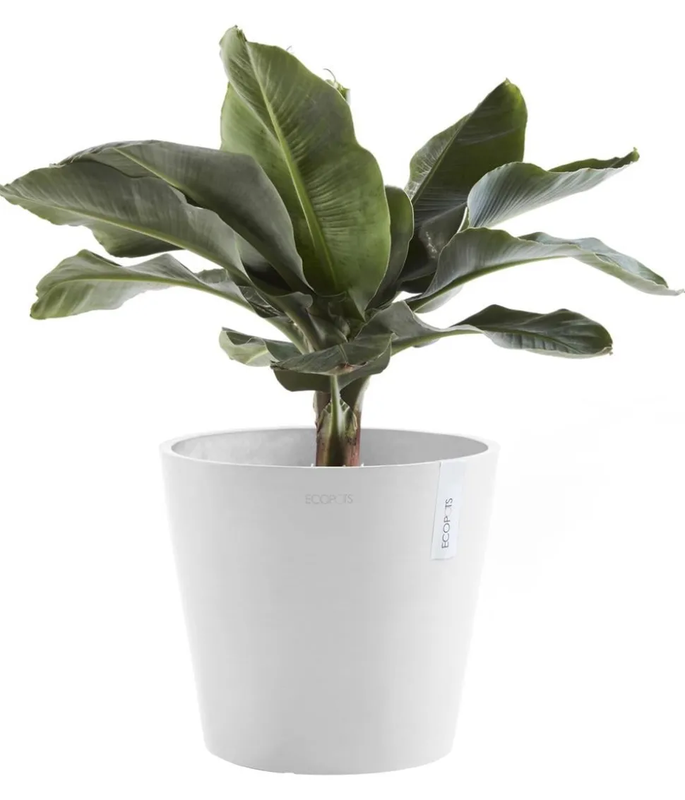 Ecopots Kunststoff-Topf Amsterdam, rund