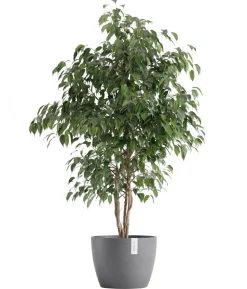 Ecopots Kunststoff-Topf Stockholm, rund