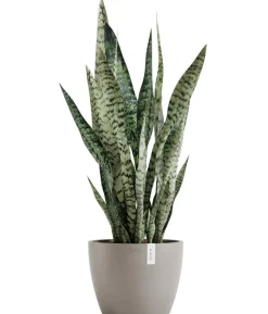 Ecopots Kunststoff-Topf Stockholm, rund
