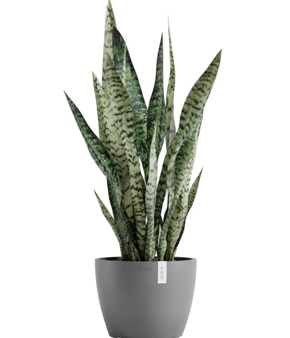 Ecopots Kunststoff-Topf Stockholm, rund