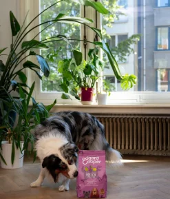 Edgard & Cooper Trockenfutter für Hunde, Schmackhafter Hirsch & Freilaufente Adult