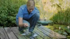 Esotec Solarpumpe Seerose für den Gartenteich