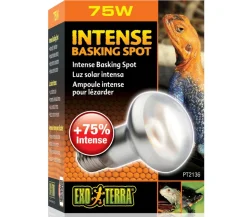 Exo Terra® Intense Basking Spot