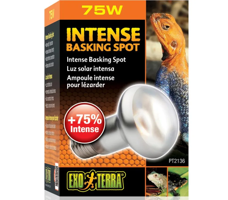 Exo Terra® Intense Basking Spot