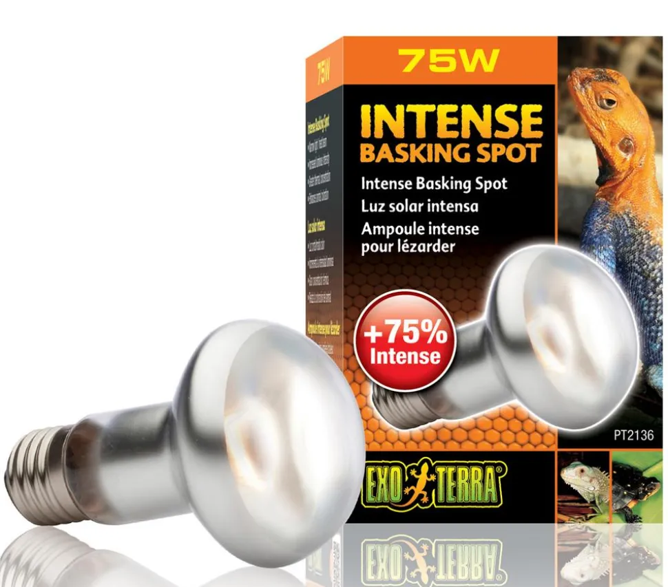 Exo Terra® Intense Basking Spot
