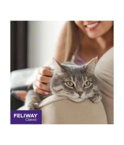 FELIWAY® Classic Nachfüllflakon, 3er-Set