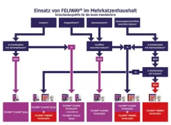 FELIWAY® Friends Nachfüllflakon, 3er-Set