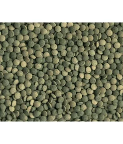 Fischfutter Tetra Pleco Tablets