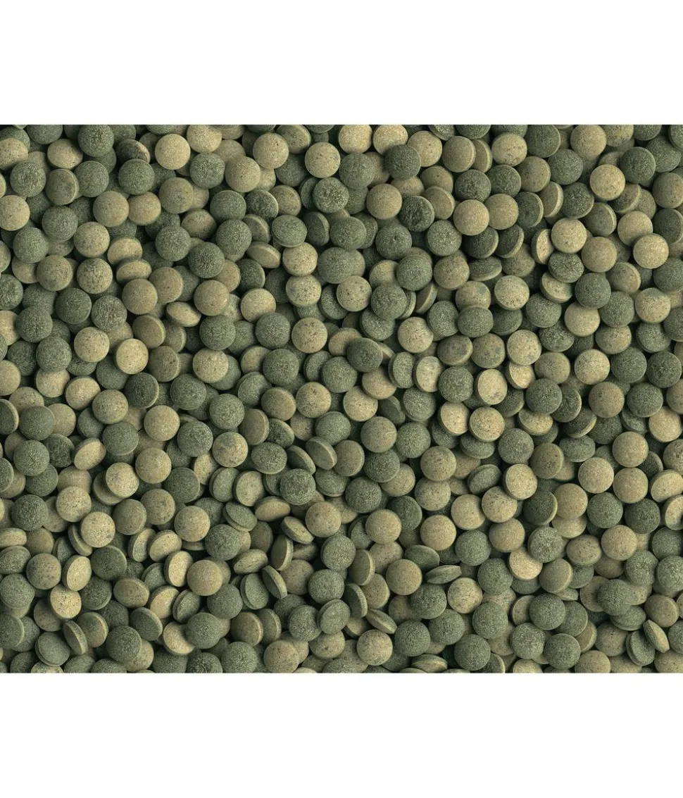 Fischfutter Tetra Pleco Tablets