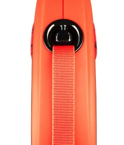 flexi® Hundeleine Gurt-Leine XTREME, Medium, schwarz/orange, 5 m