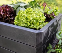 Garantia Kunststoff-Hochbeet Ergo Stone inkl. Wassersparsystem